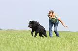 ADULTE ET CHIEN 034